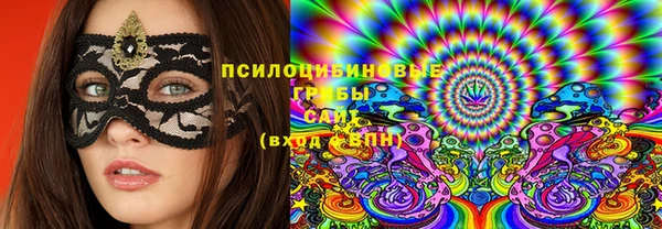 эйфоретик Вяземский