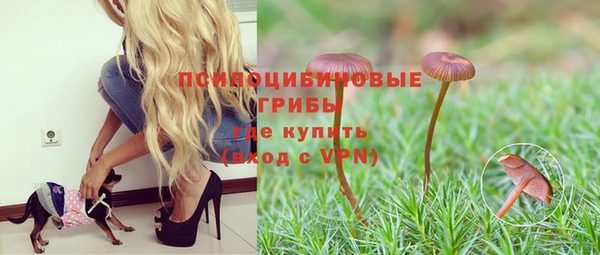 бошки Анжеро-Судженск