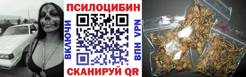 Псилоцибиновые грибы мухоморы  наркошоп  Курганинск 